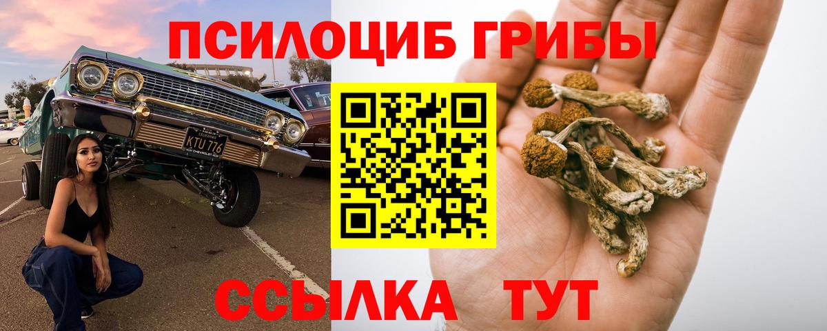 Надым  Псилоцибиновые грибы ЛСД  Вход с VPN  Псилоцибиновые грибы Psilocybine cubensis 